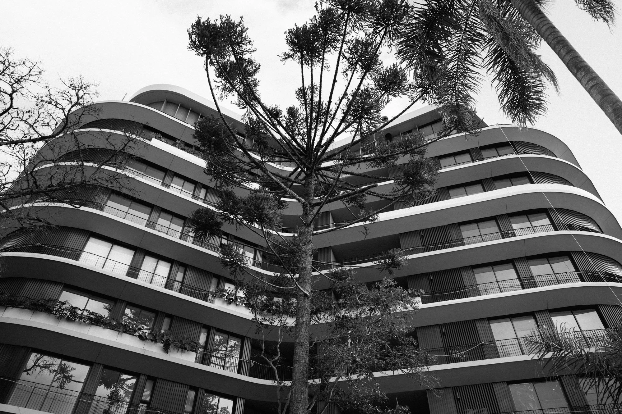 P1429591.jpg