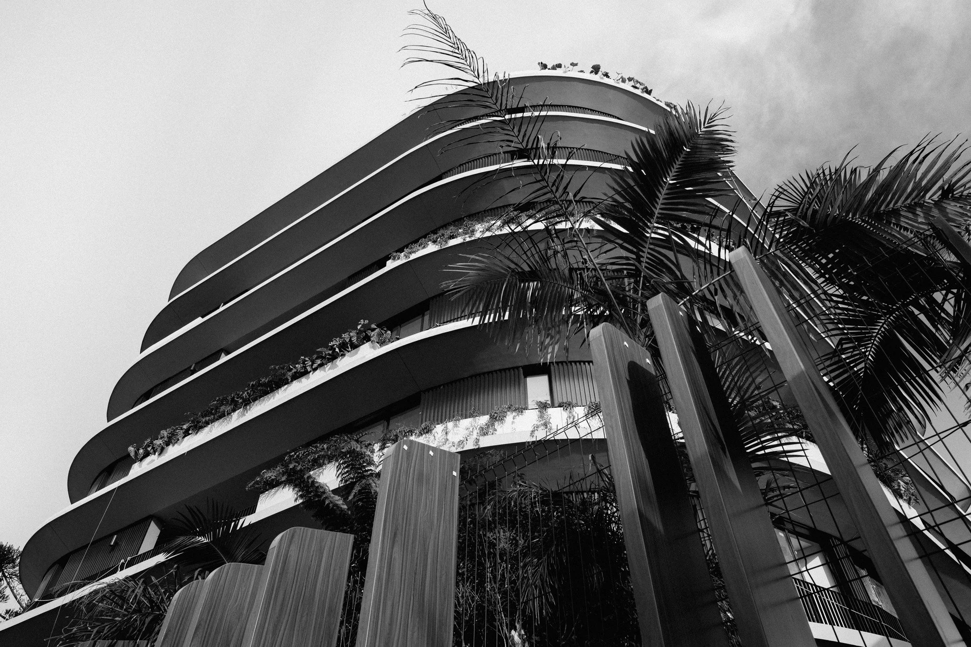 P1429443-Editar.jpg