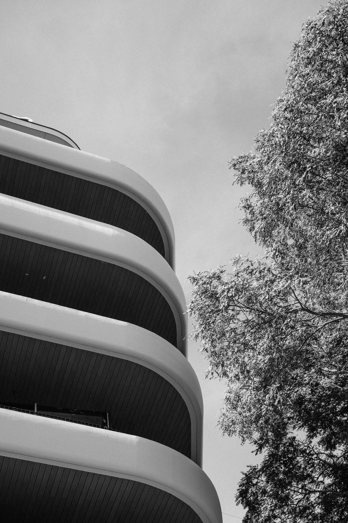 P1418743.jpg