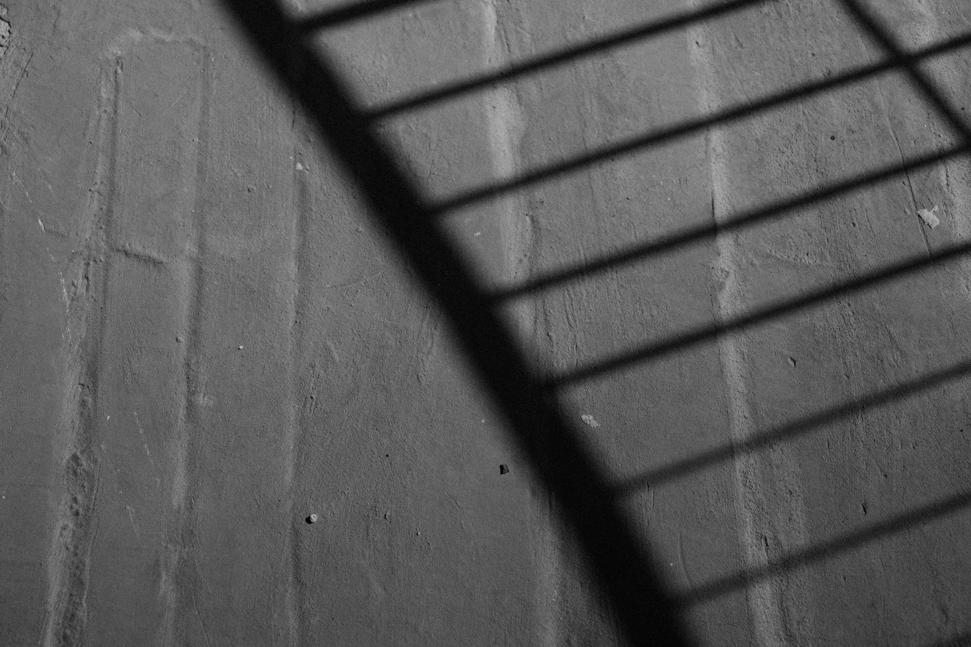 P1418882.jpg