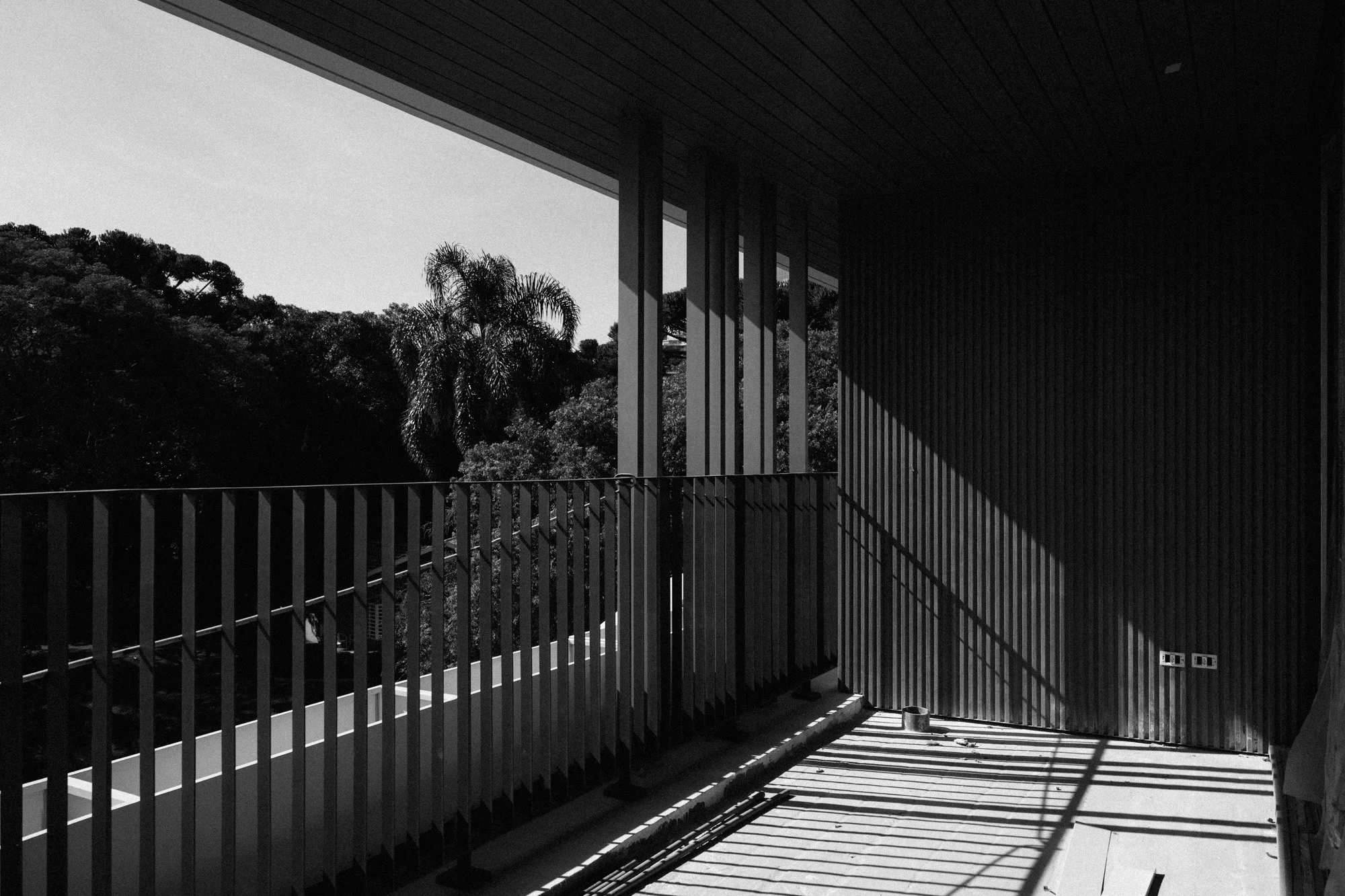P1418901.jpg