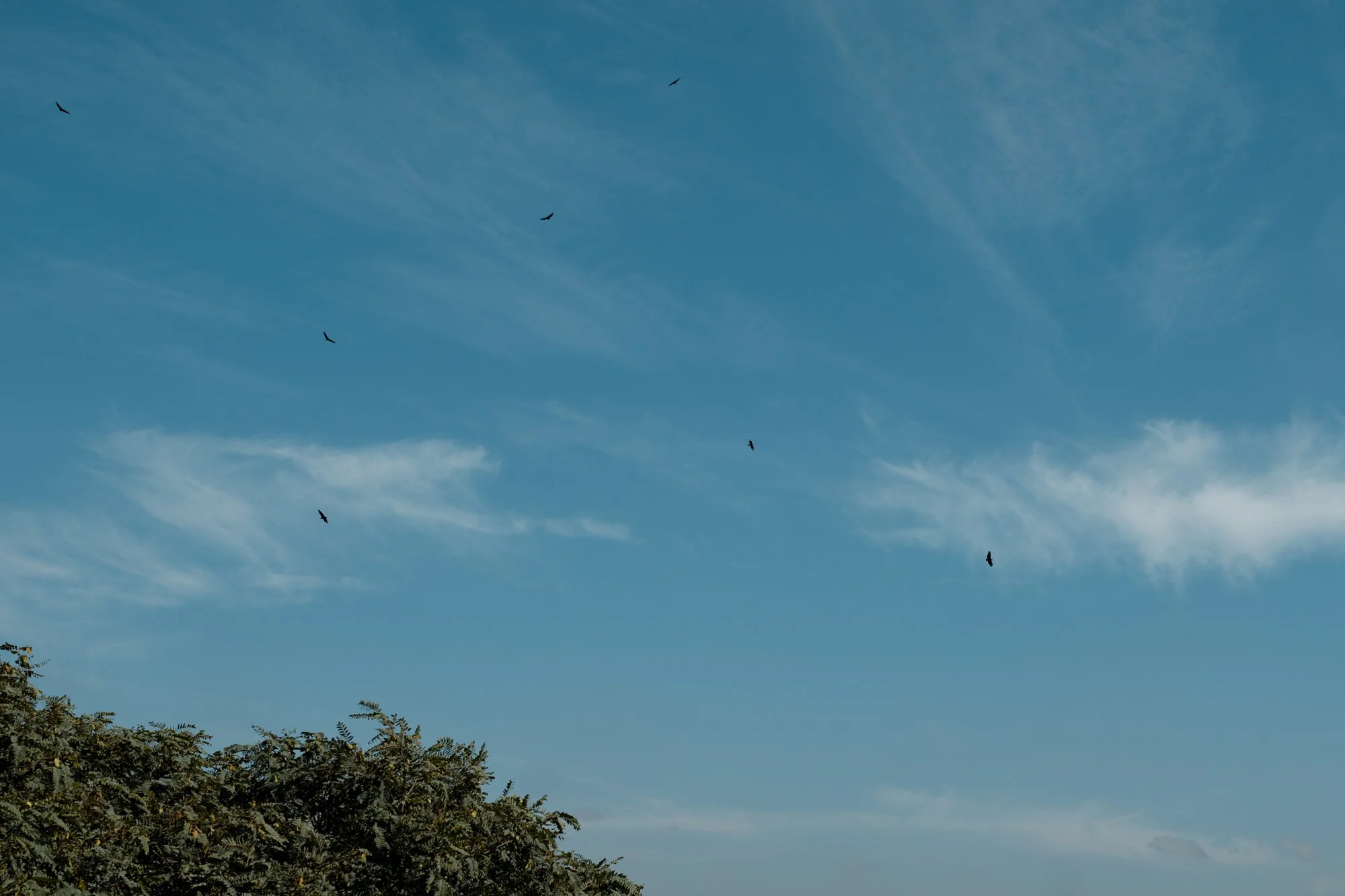P1418918.jpg