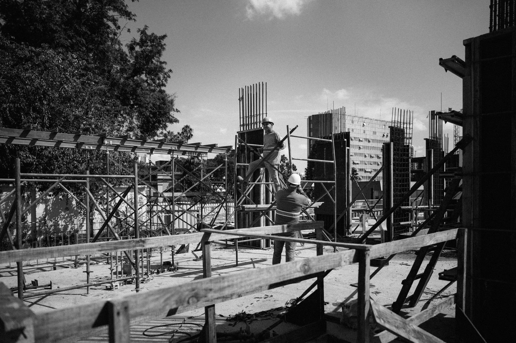 P1419330.jpg