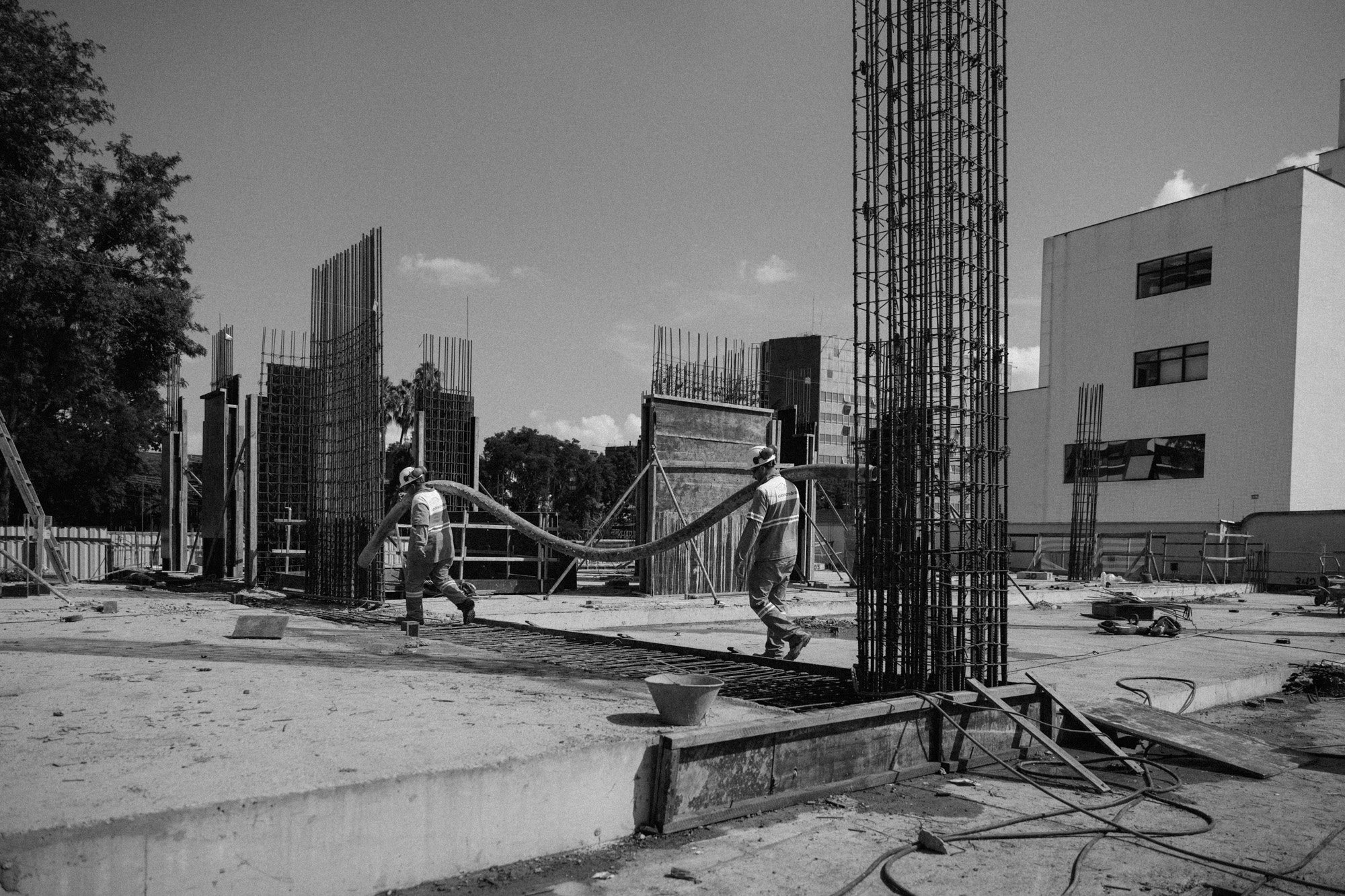 P1419376.jpg