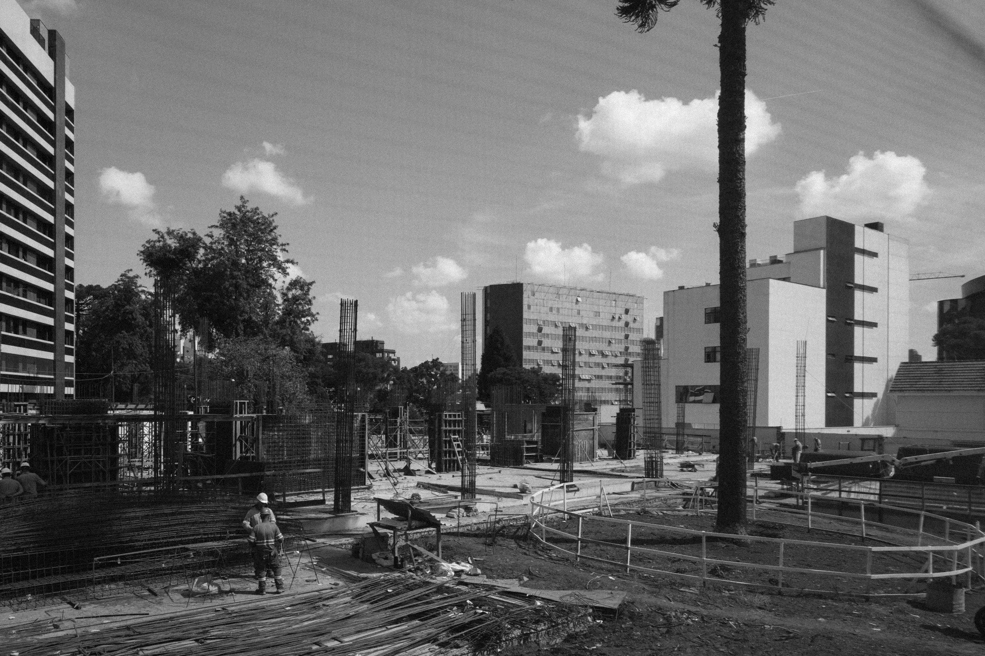 P1419406.jpg
