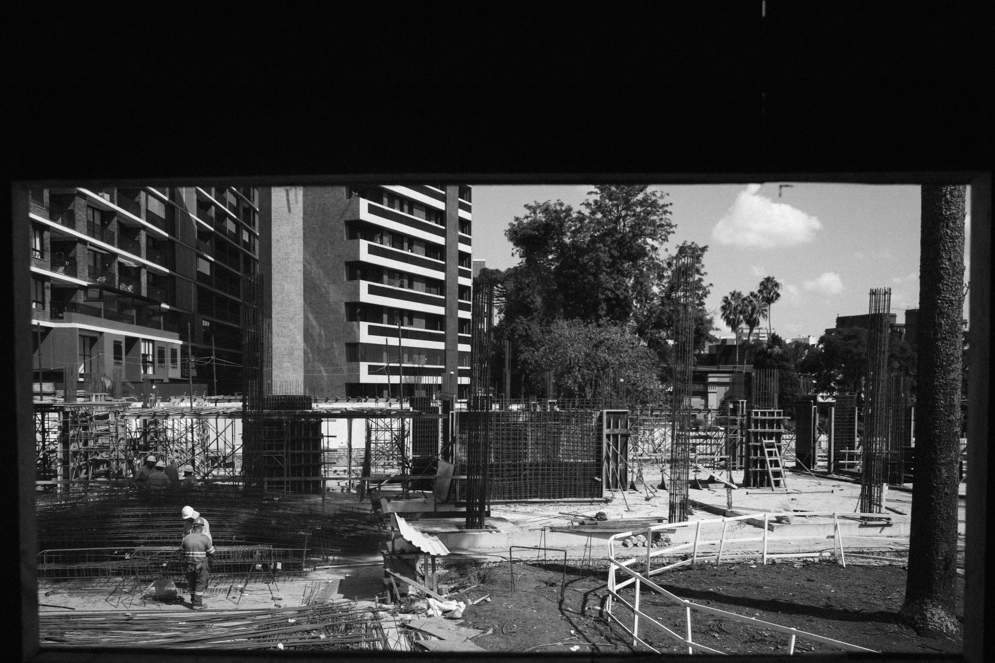 P1419413.jpg