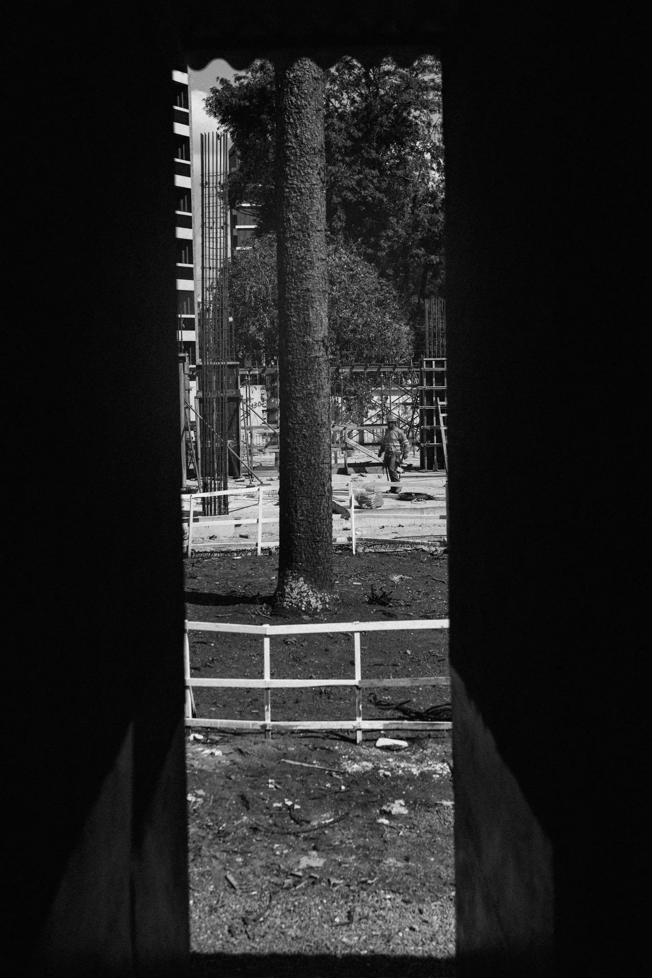 PMQA4477.jpg