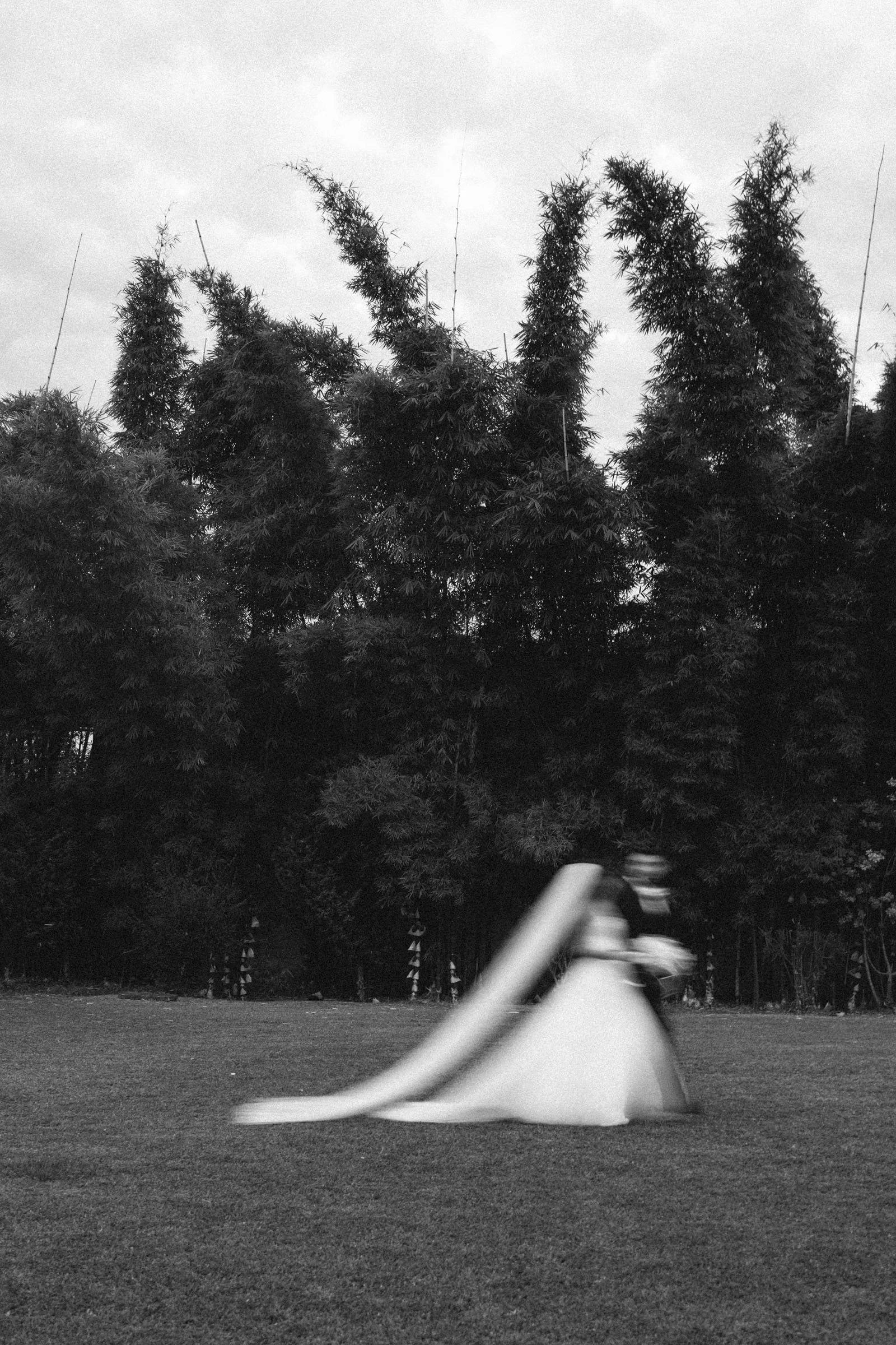 0372.jpg