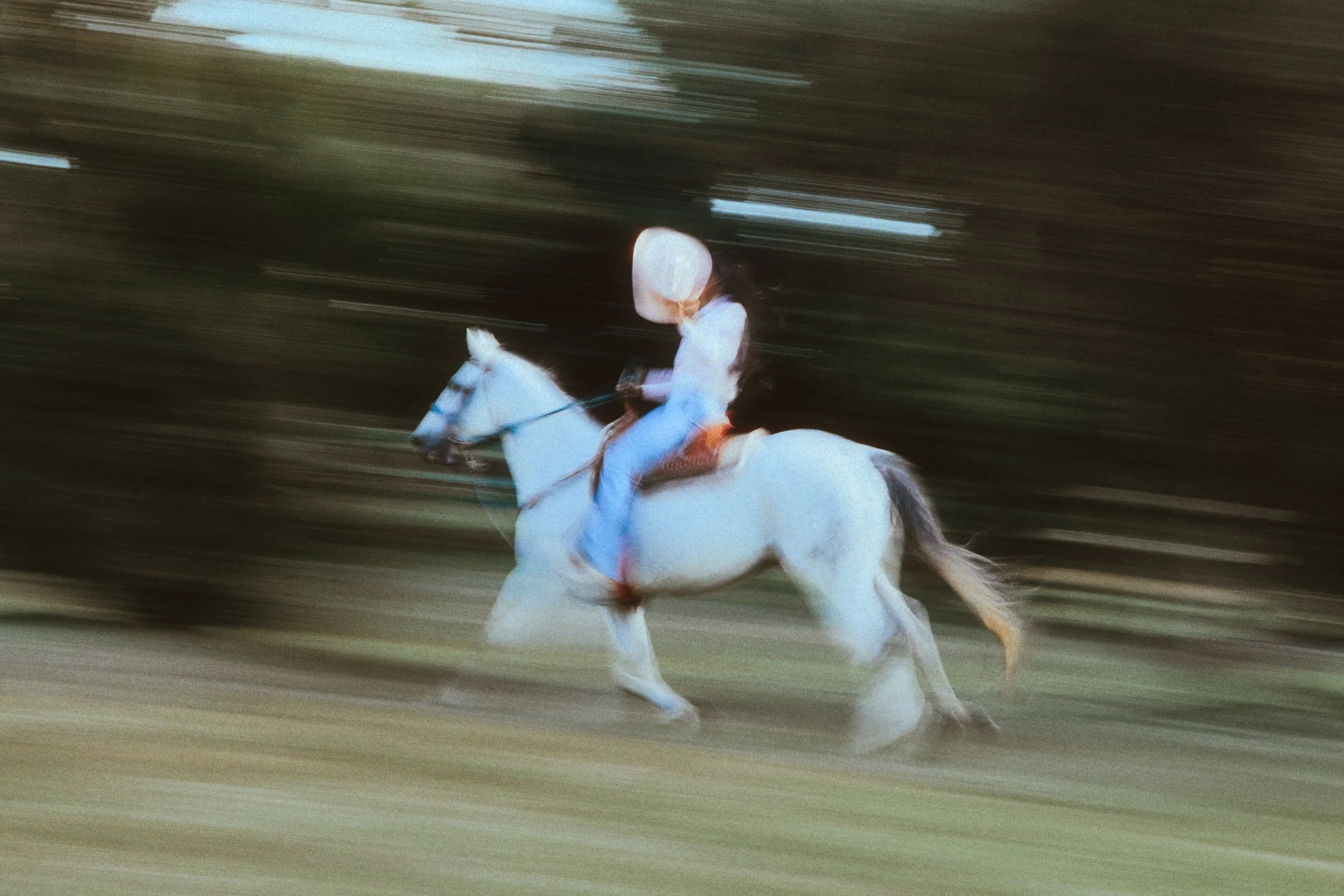 P1364868-Editar.jpg