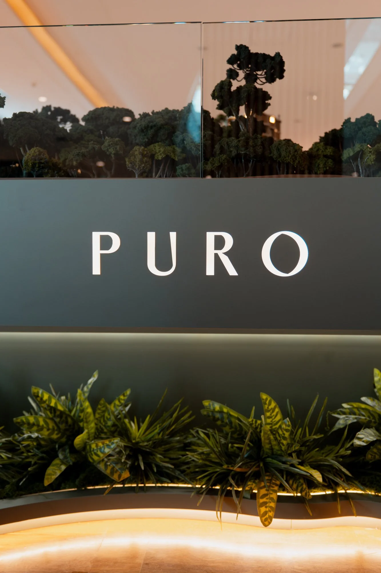 P1610797-Aprimorado-NR.jpg