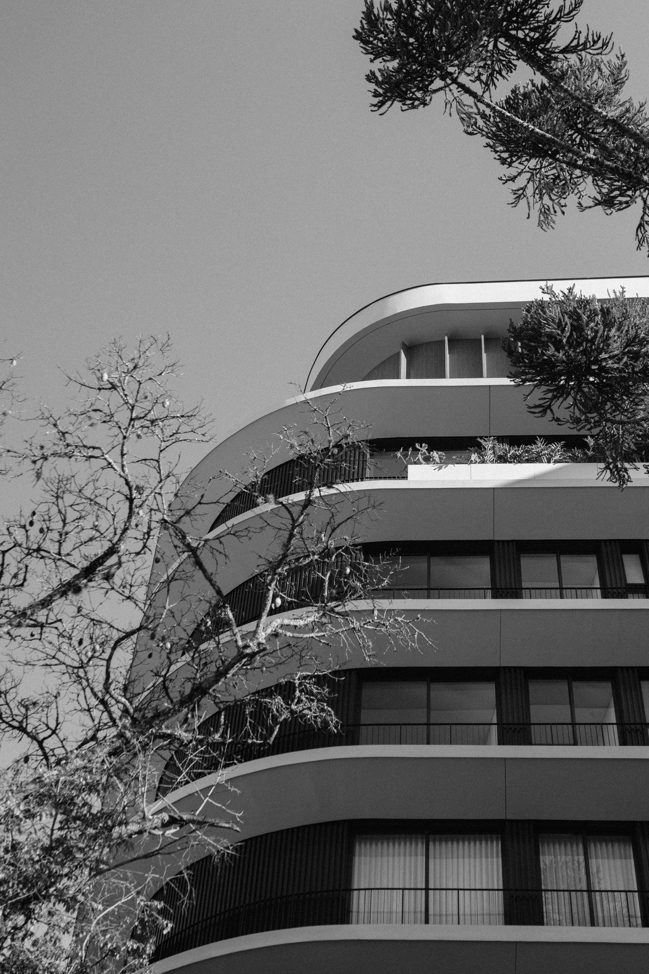 PMQA3159-2.jpg