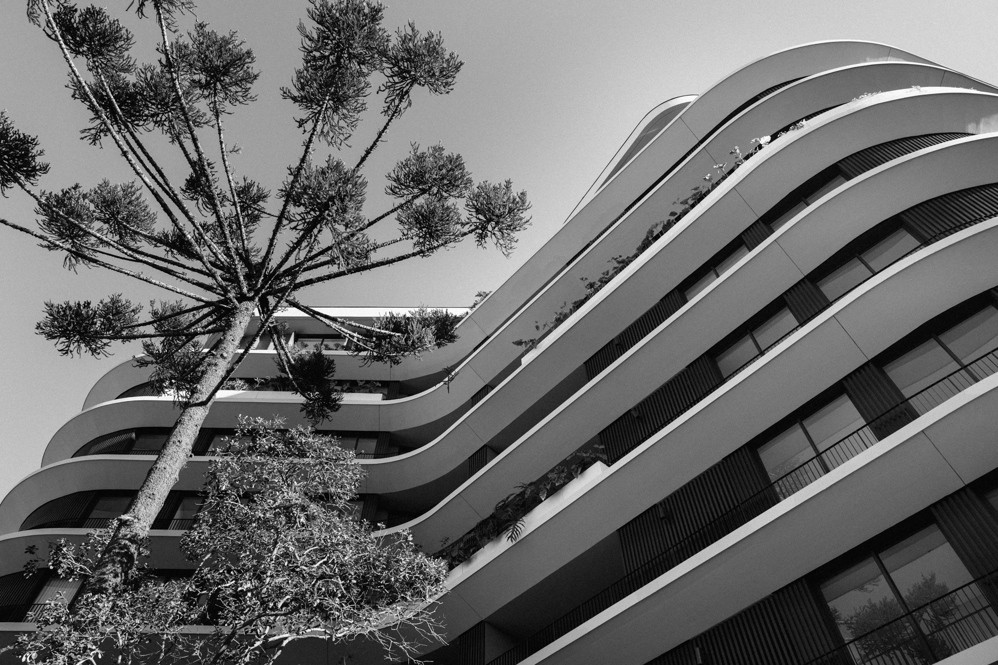 P1597689-2.jpg
