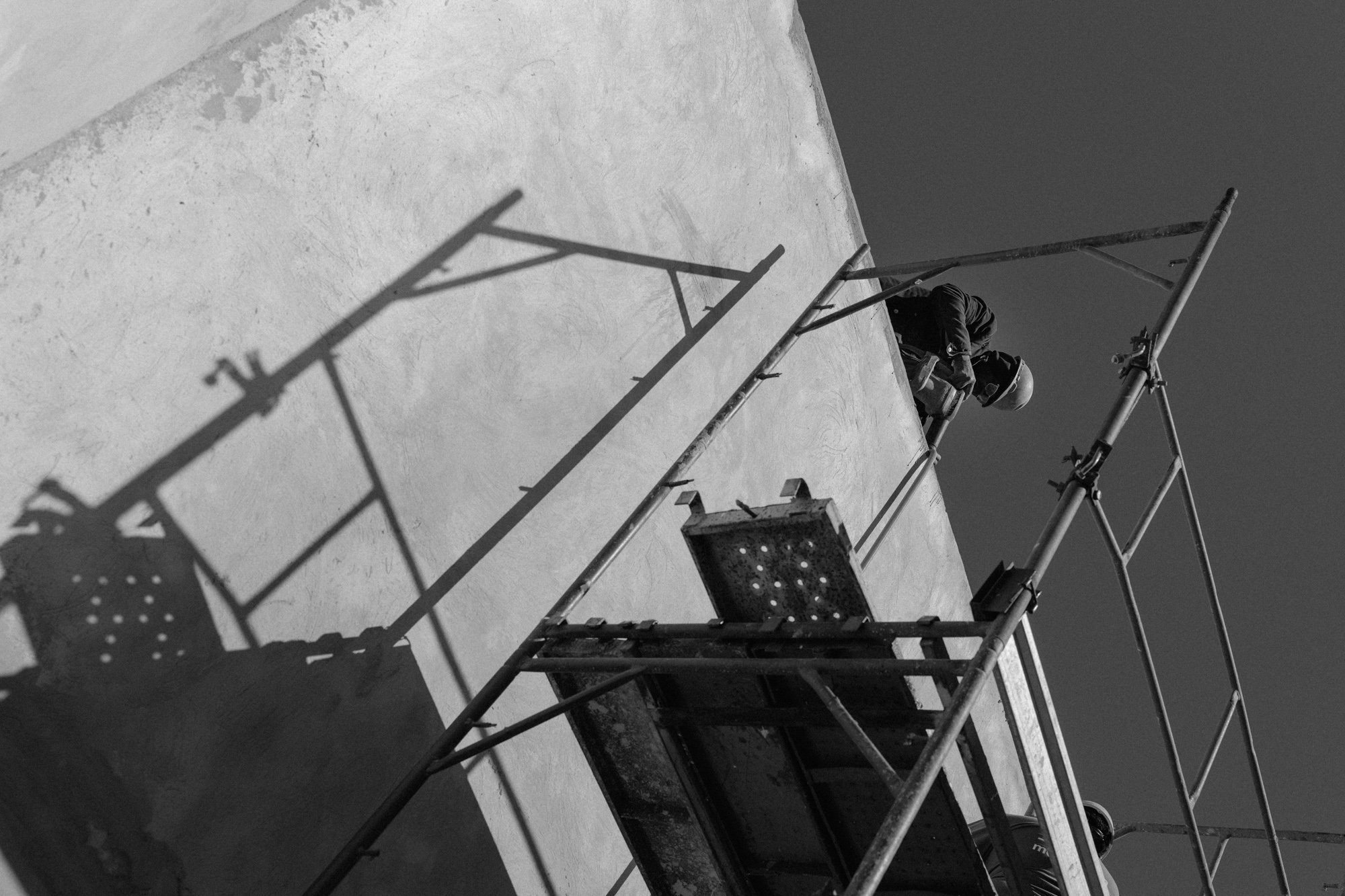 P1598333.jpg