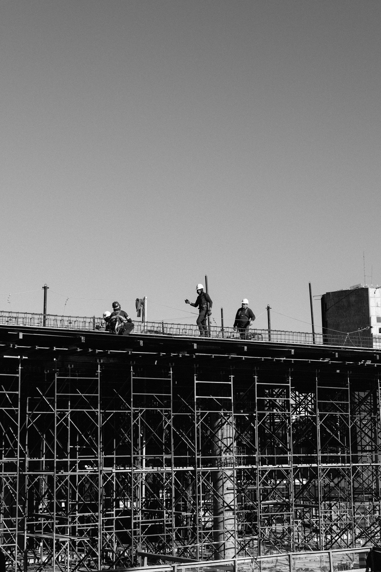 P1597799-2.jpg