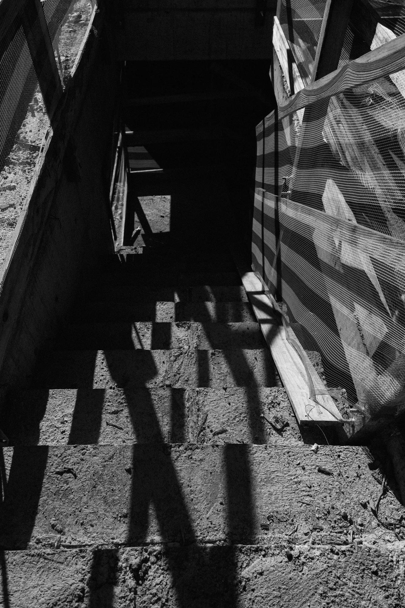 P1597841.jpg