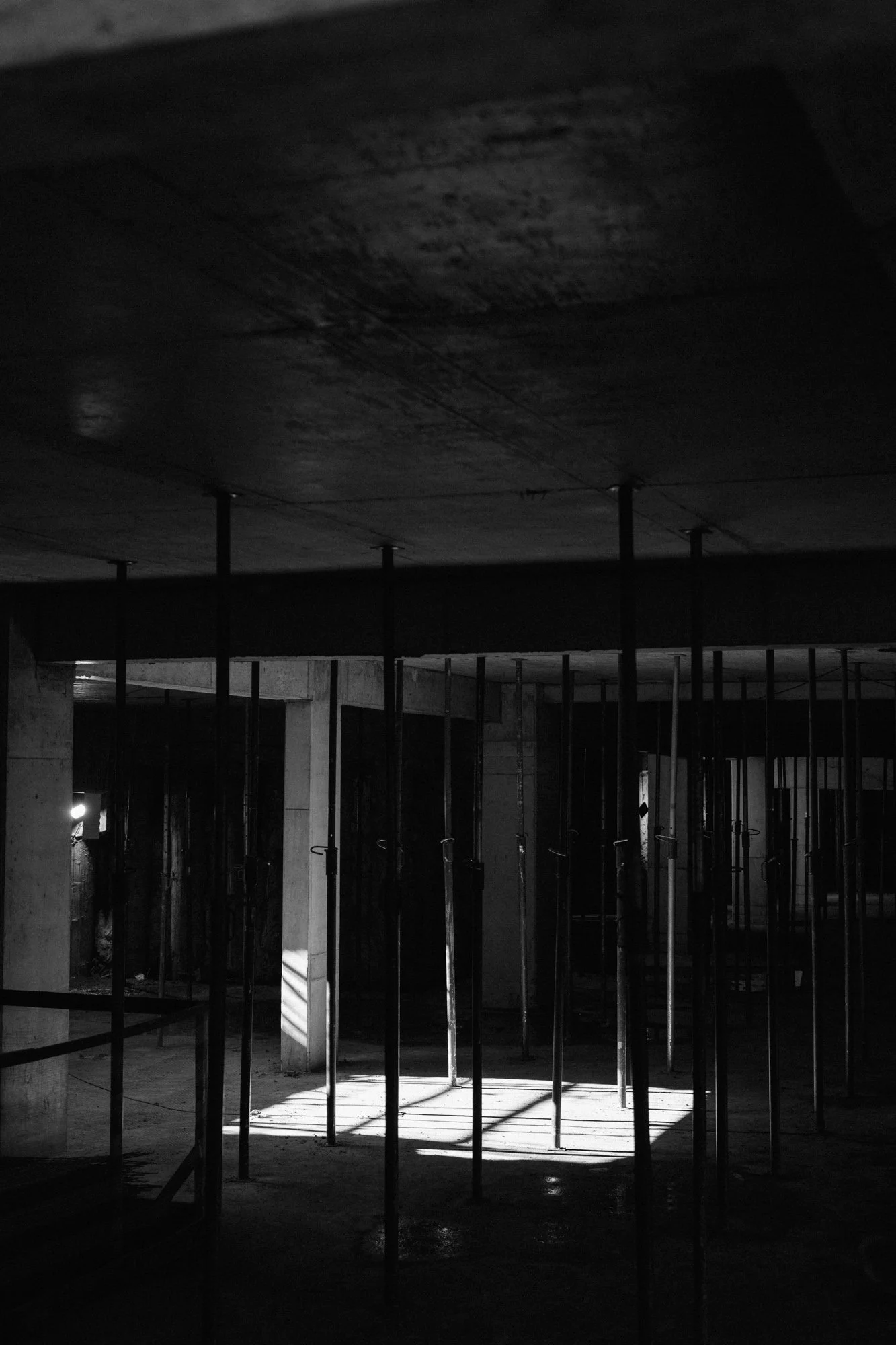 P1597852-2.jpg