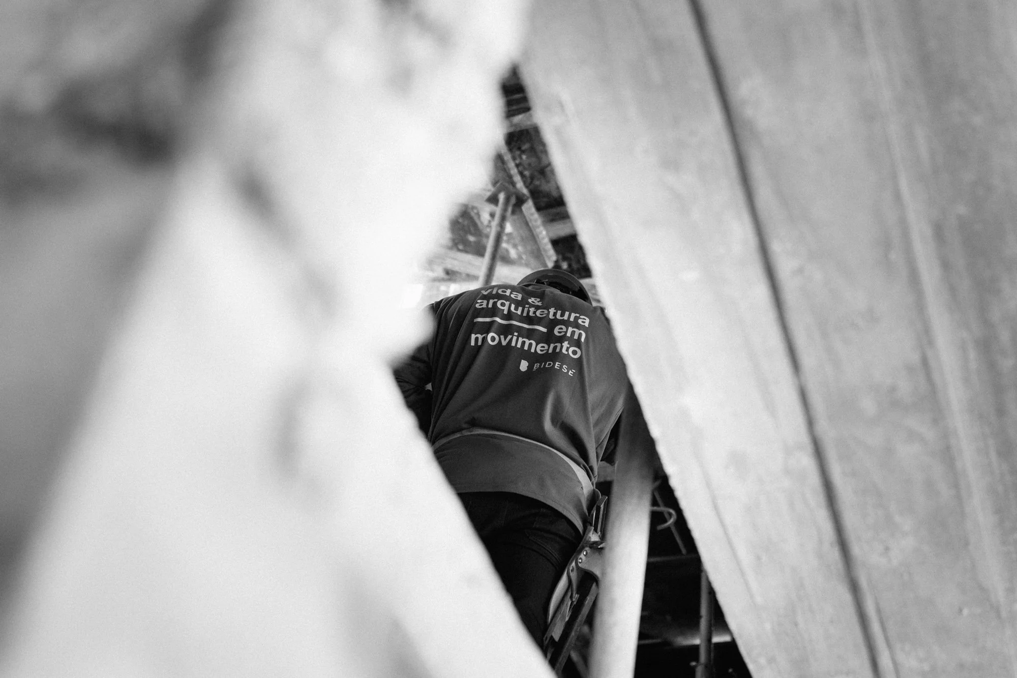 P1597963-2.jpg