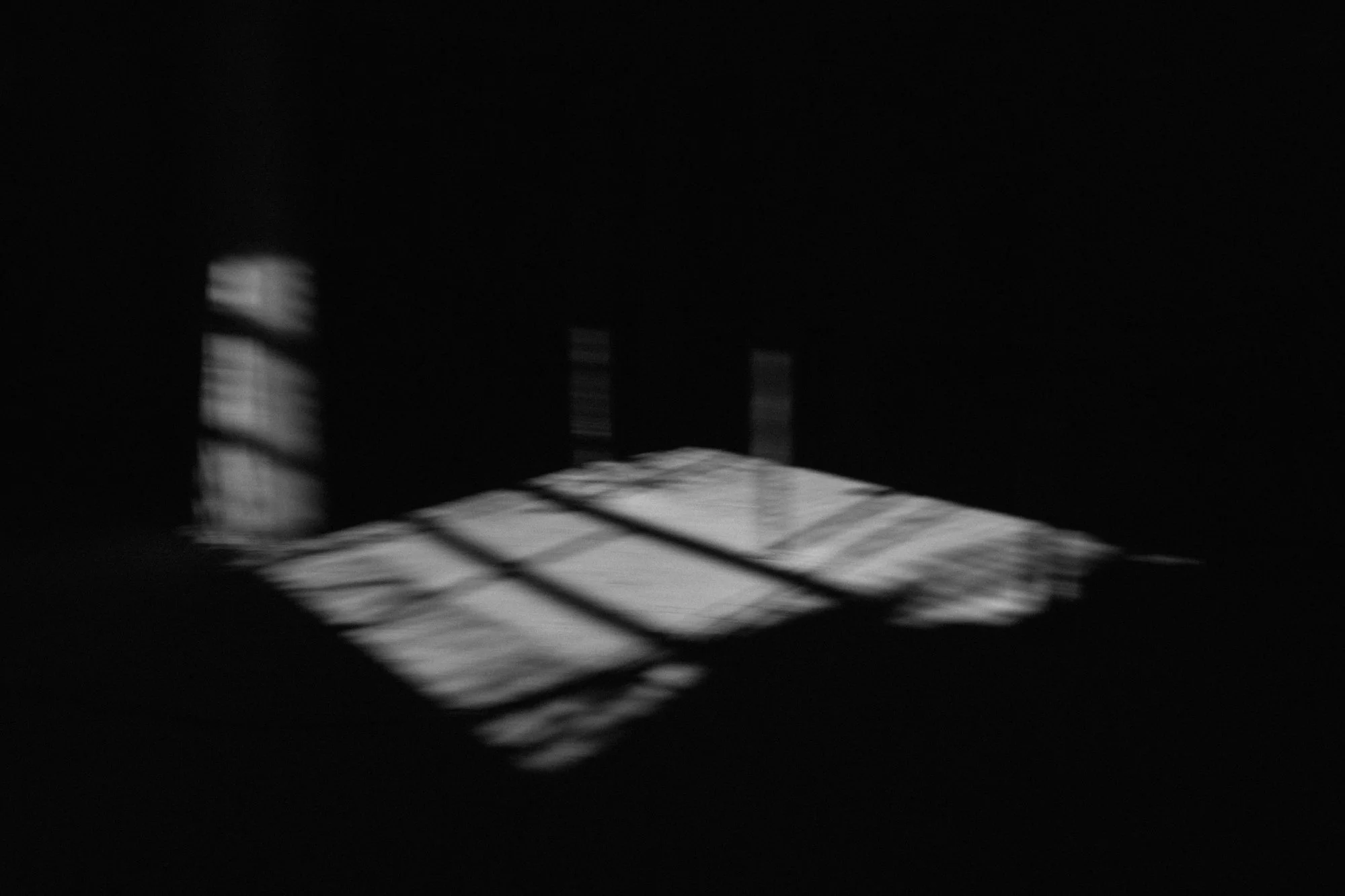 P1597994.jpg
