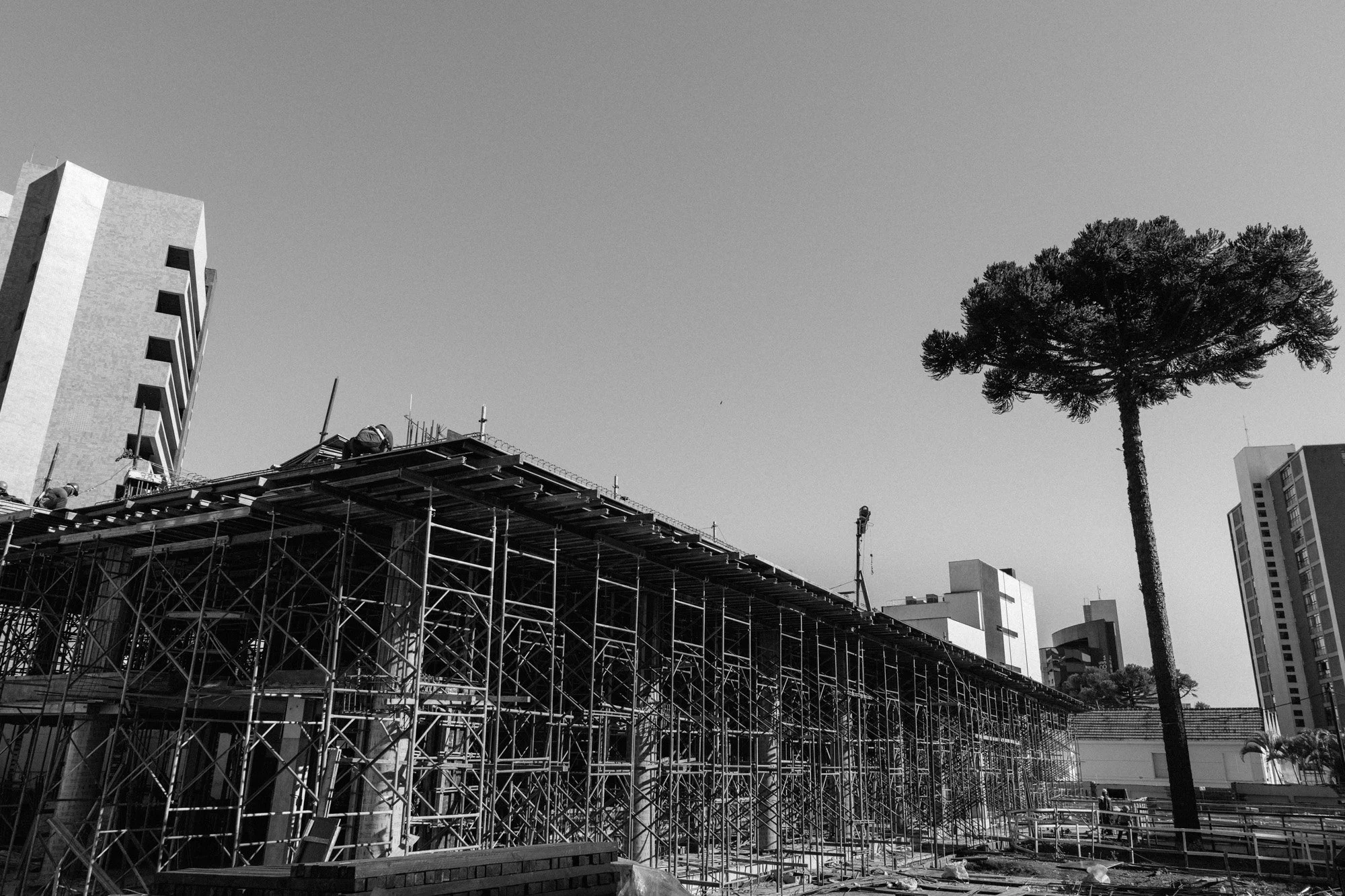 P1598025-2.jpg