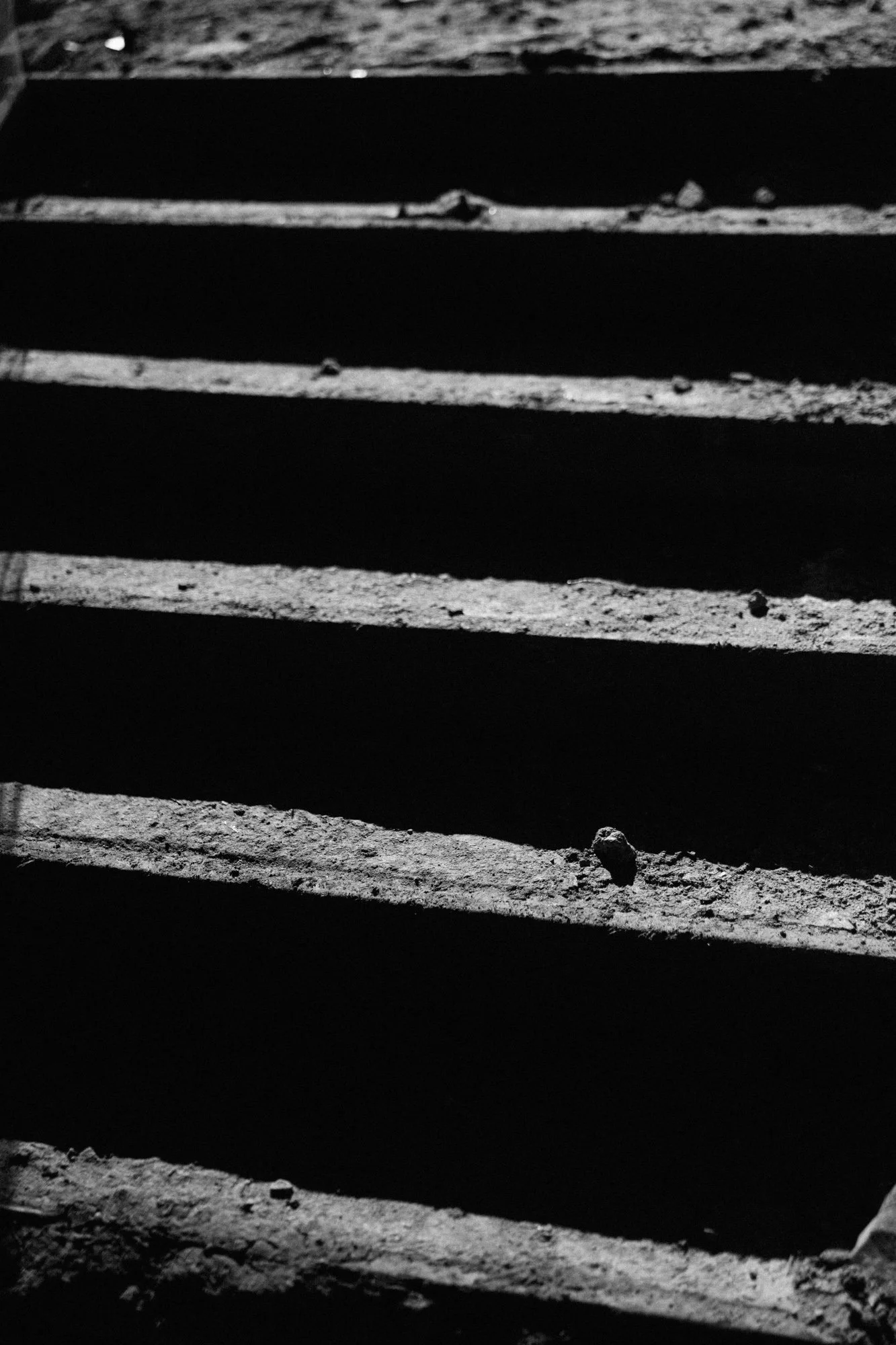 PMQA3251.jpg