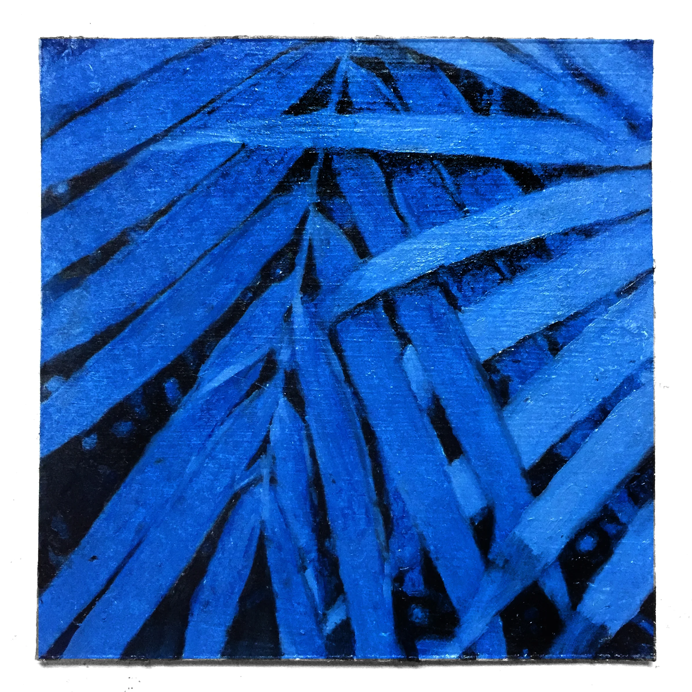 Fronds Oil on paper 6x6 inches 2017