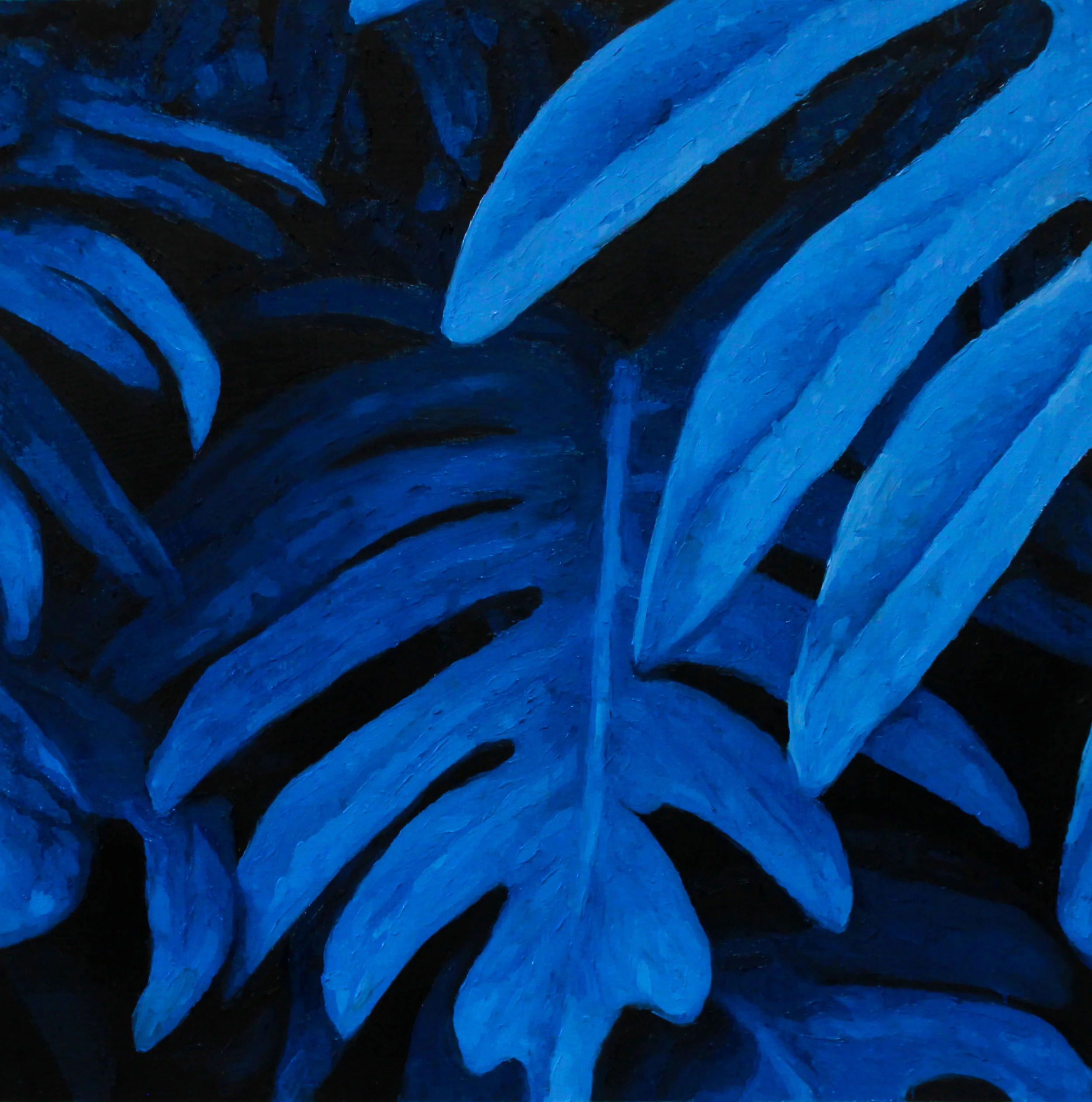 Plantscobaltcrop.jpg