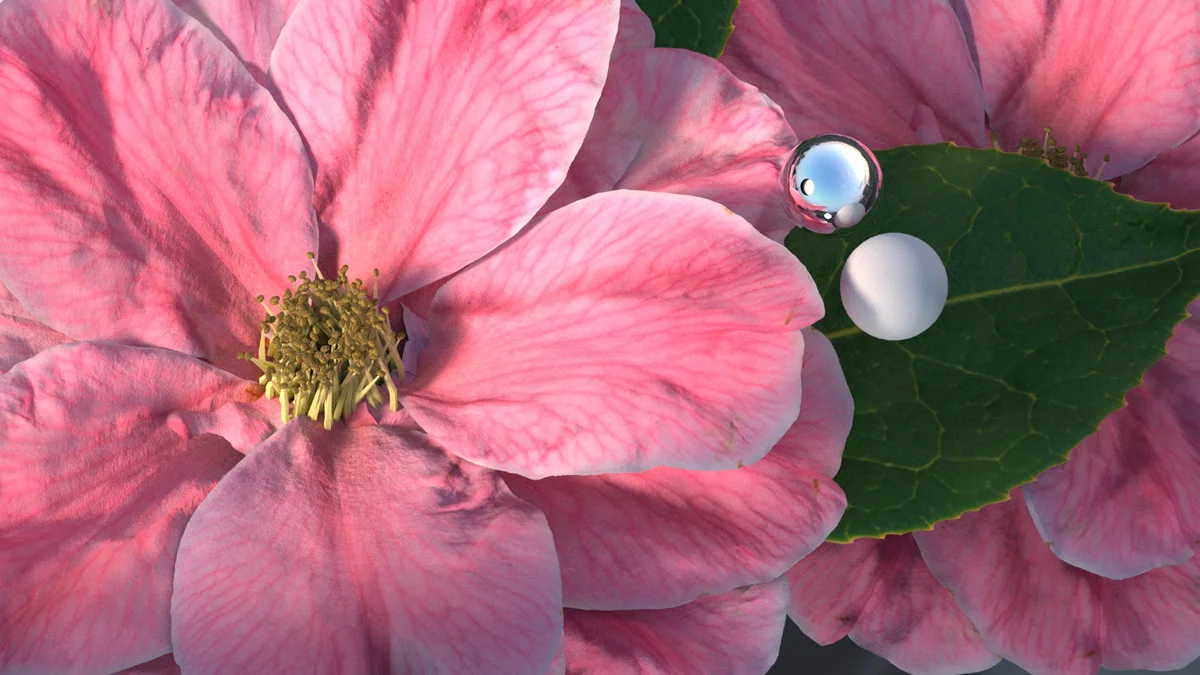 19_06_21_Petals_011.jpg