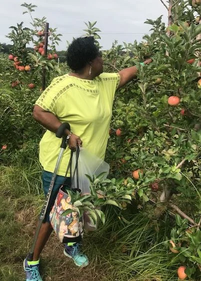 apple picking in October 2018