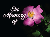 In Loving Memory