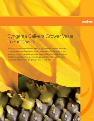 7138 Sunflower Value Story CVR.jpg