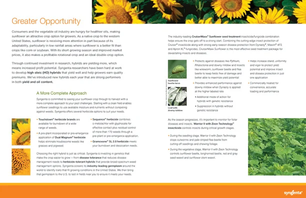 7138 Sunflower Value Story INT.jpg