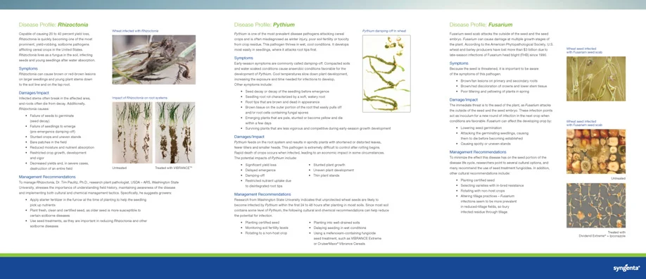 7581 Soilborne Bulletin INT.jpg