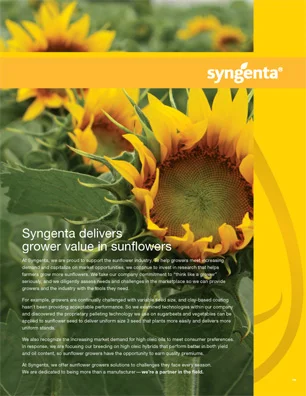 8035 Sunflower Portfolio CVR.jpg
