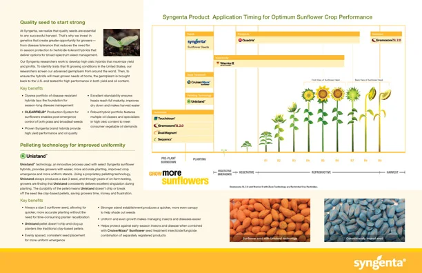 8035 Sunflower Portfolio INT 1.jpg