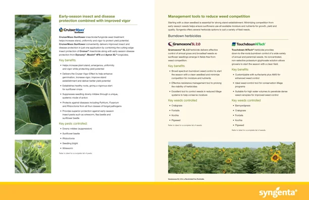 8035 Sunflower Portfolio INT 2.jpg