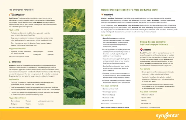 8035 Sunflower Portfolio INT 3.jpg