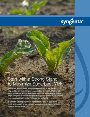 Sugarbeet Stand Brochure CVR.jpg