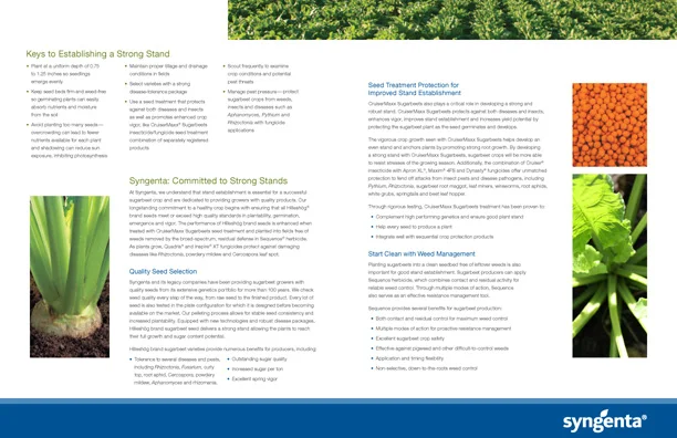 Sugarbeet Stand Brochure INT.jpg