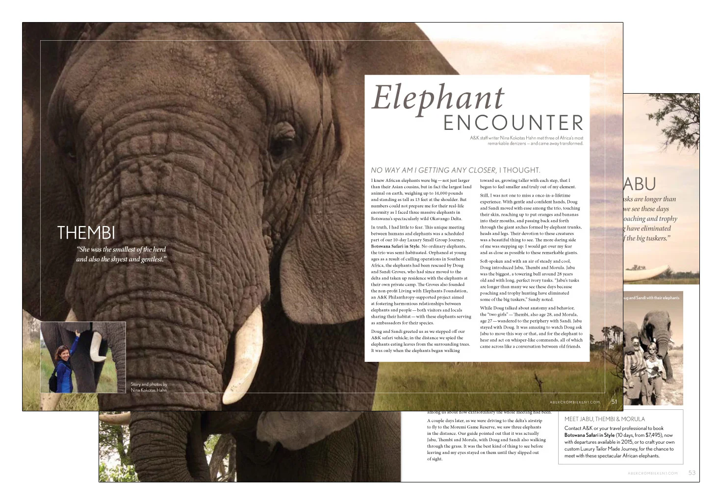 Elephant Encounters article.jpg