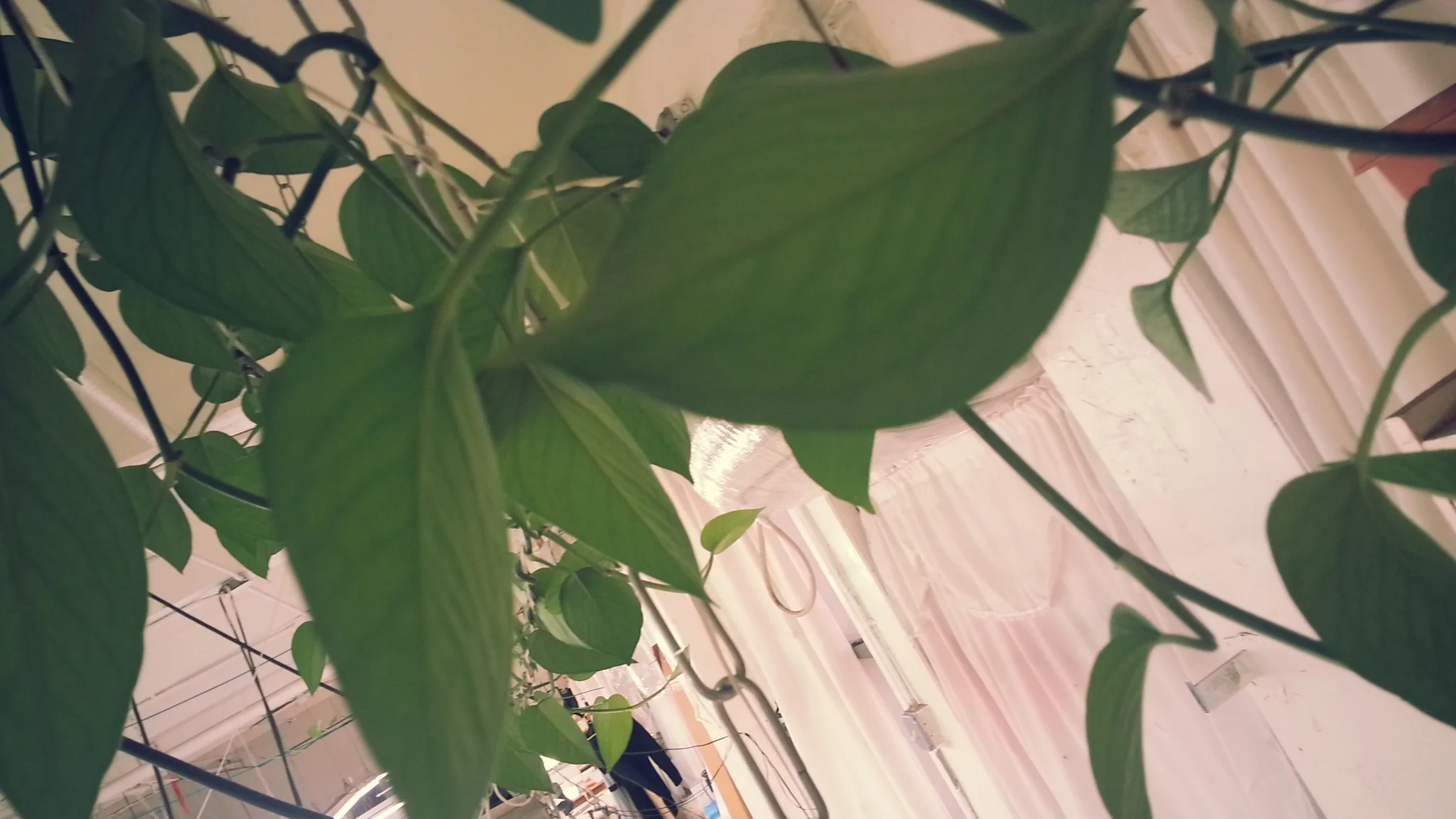20130306_151039.jpg