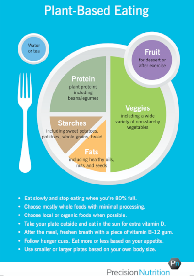 How to design your plant based meal plate for healthy fueling for performance. 