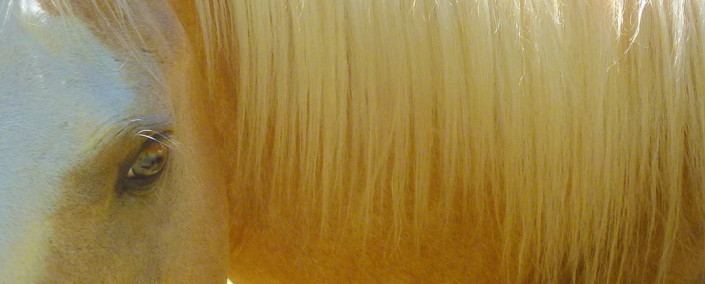 P1050547.JPG