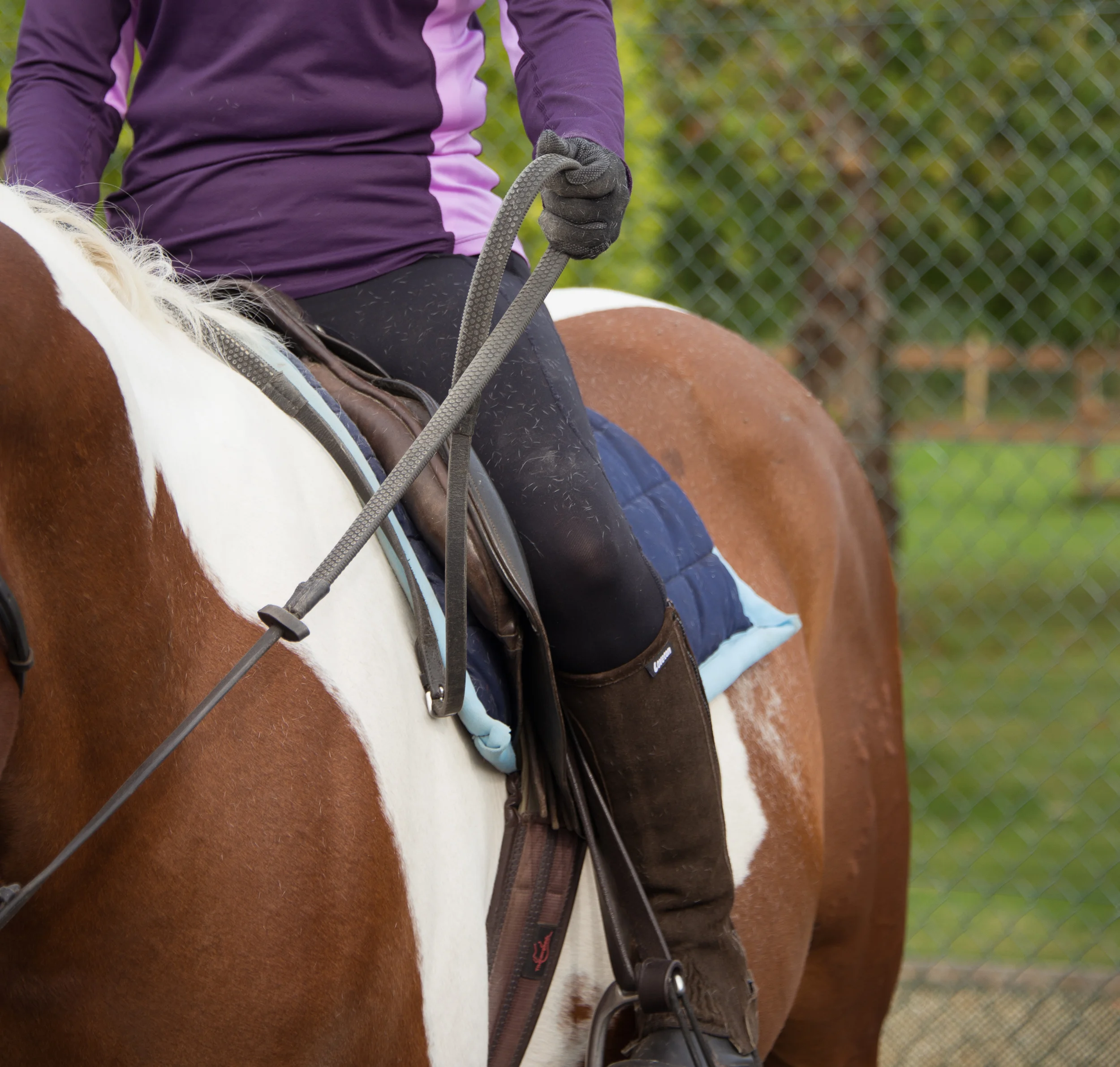 J.Stapleton Equitation Science - Sept 2014-58.jpg