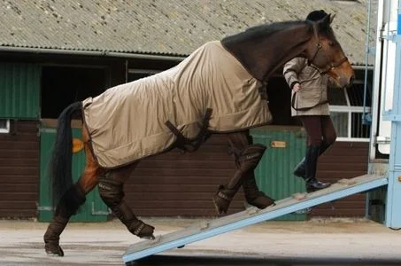 Equitation Science Photo 7.jpg