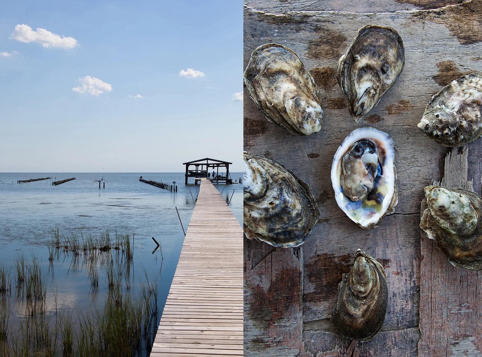 Point aux Pins Oyster Farm | Bayou La Batre, Alabama