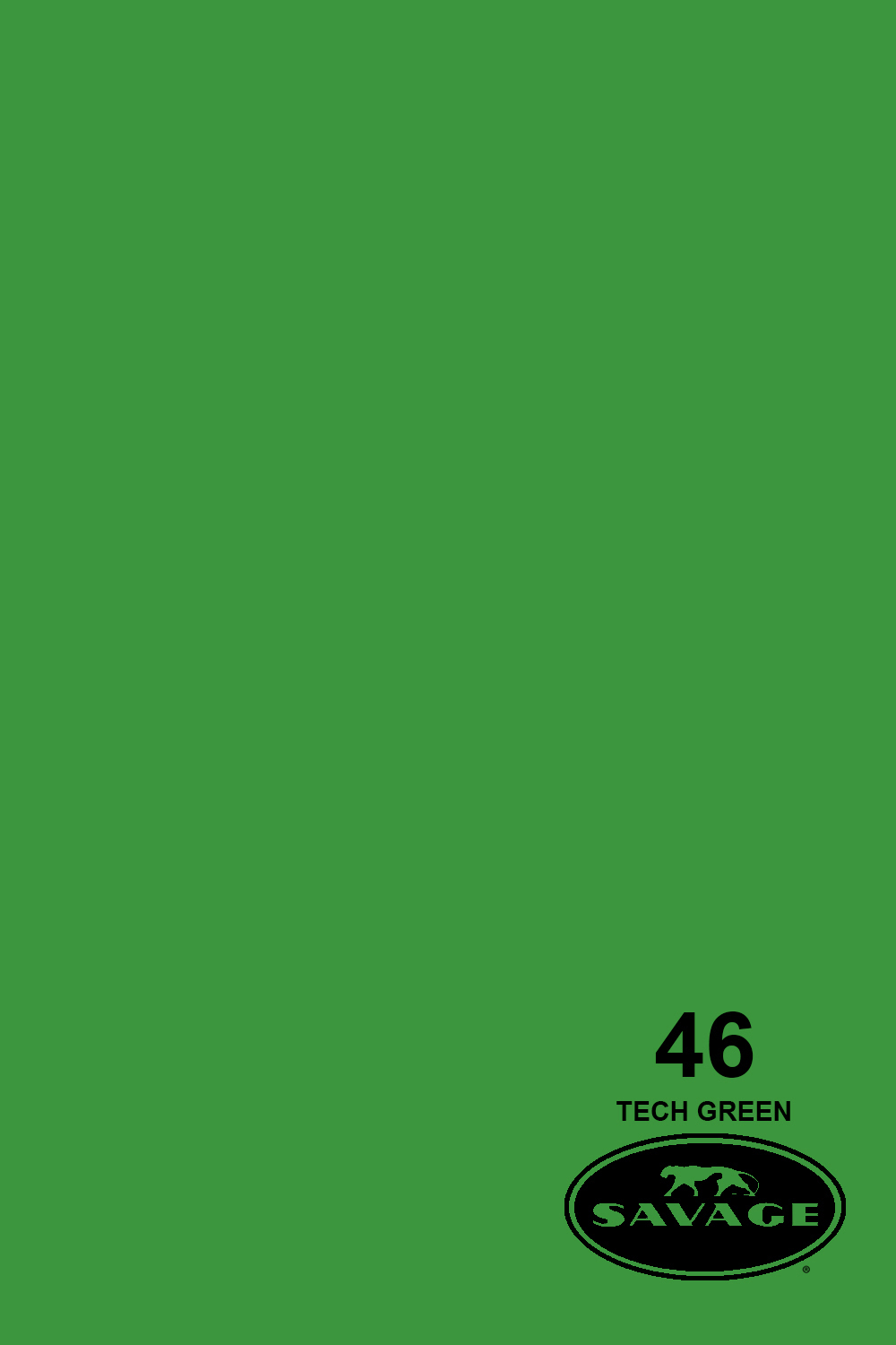 tech-green-seamless-paper-swatch-1.jpg