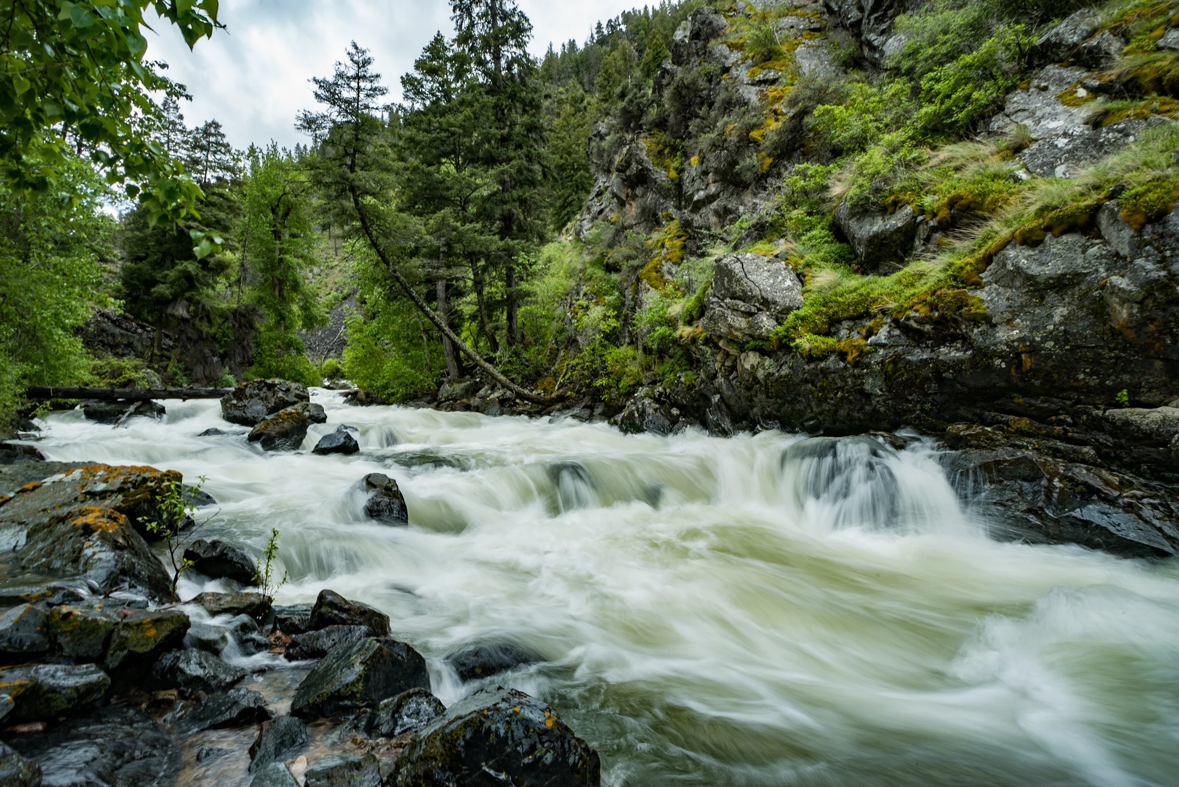 NRS_TripleTribTrip-03520.jpg