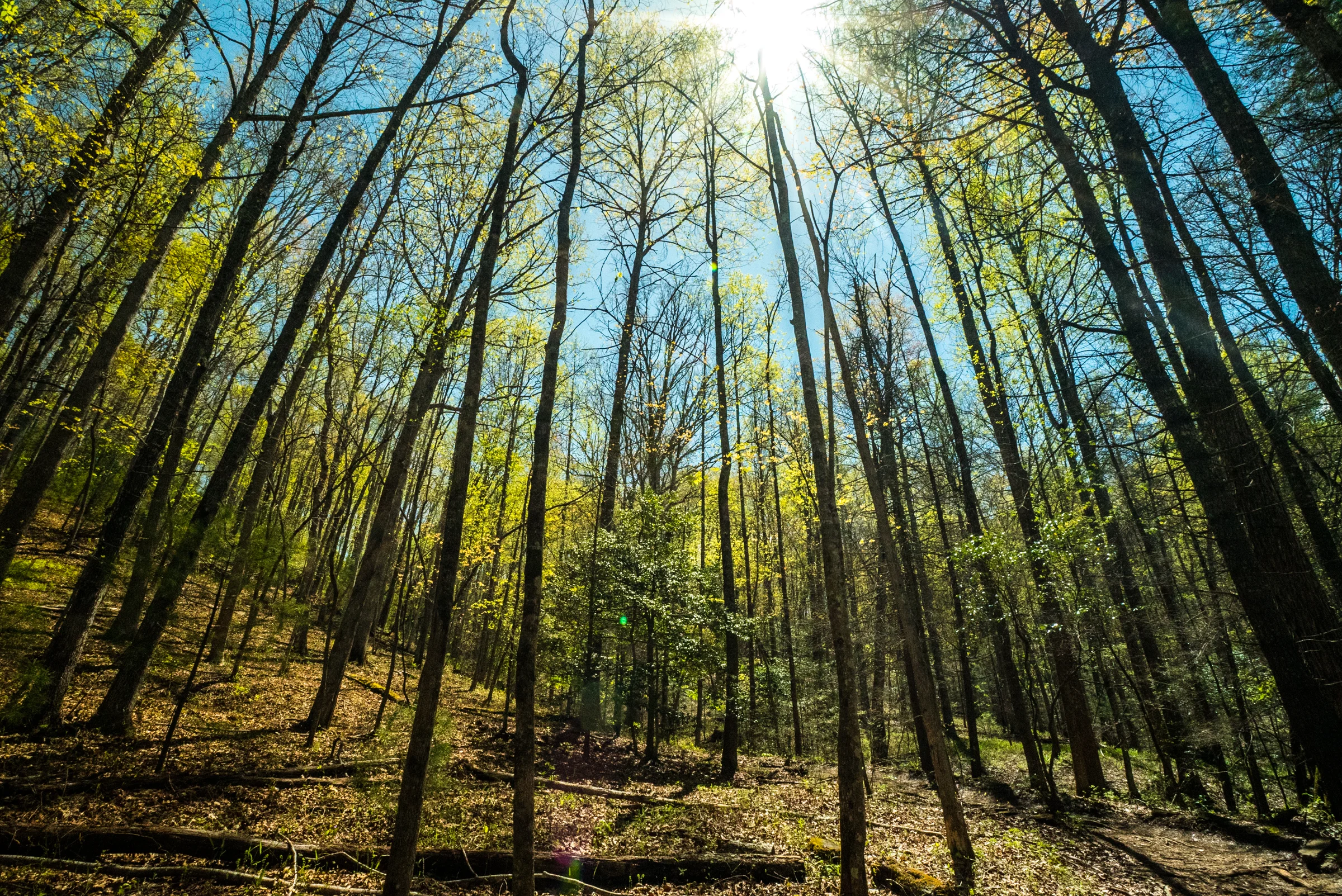 POA_NC_April-08418.jpg