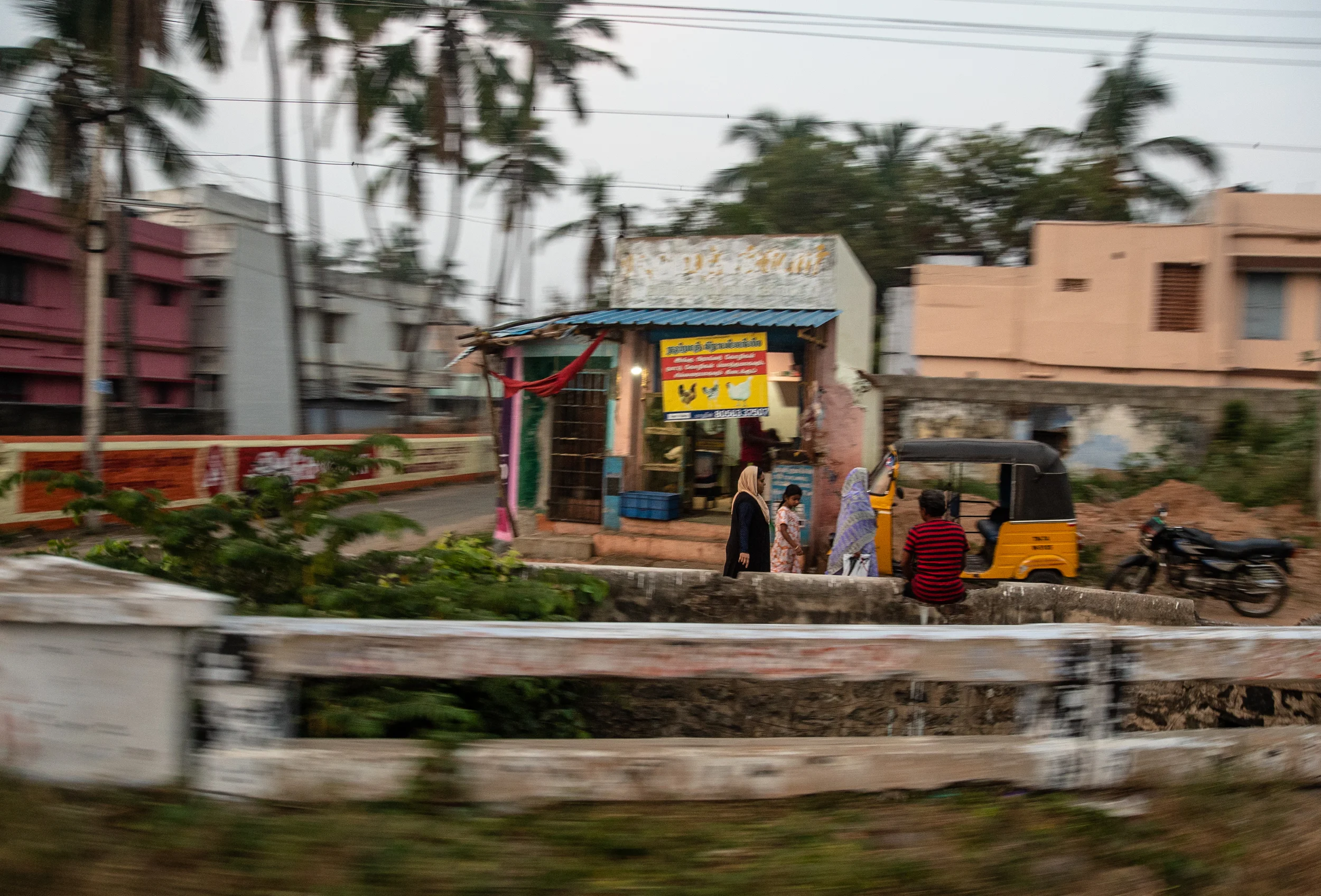 INDIA-06230.jpg