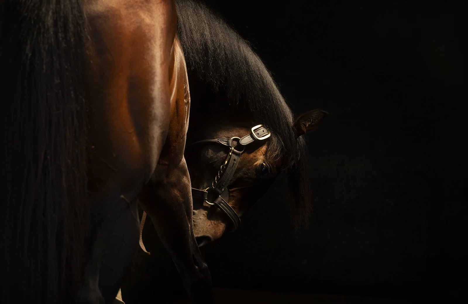 Unencumbered Three Bridges Stud